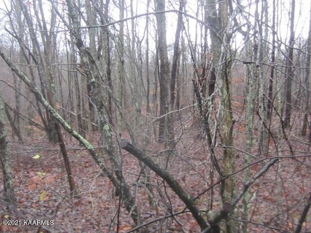 0 Parker Road Monterey, TN 38574 - Photo 9 of 16 Gallery Image 9