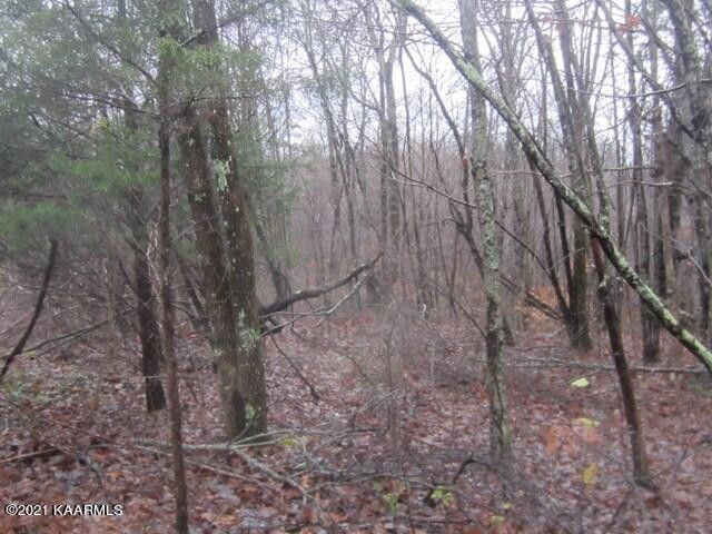 0 Parker Road Monterey, TN 38574 - Photo 10 of 16 Gallery Image 10