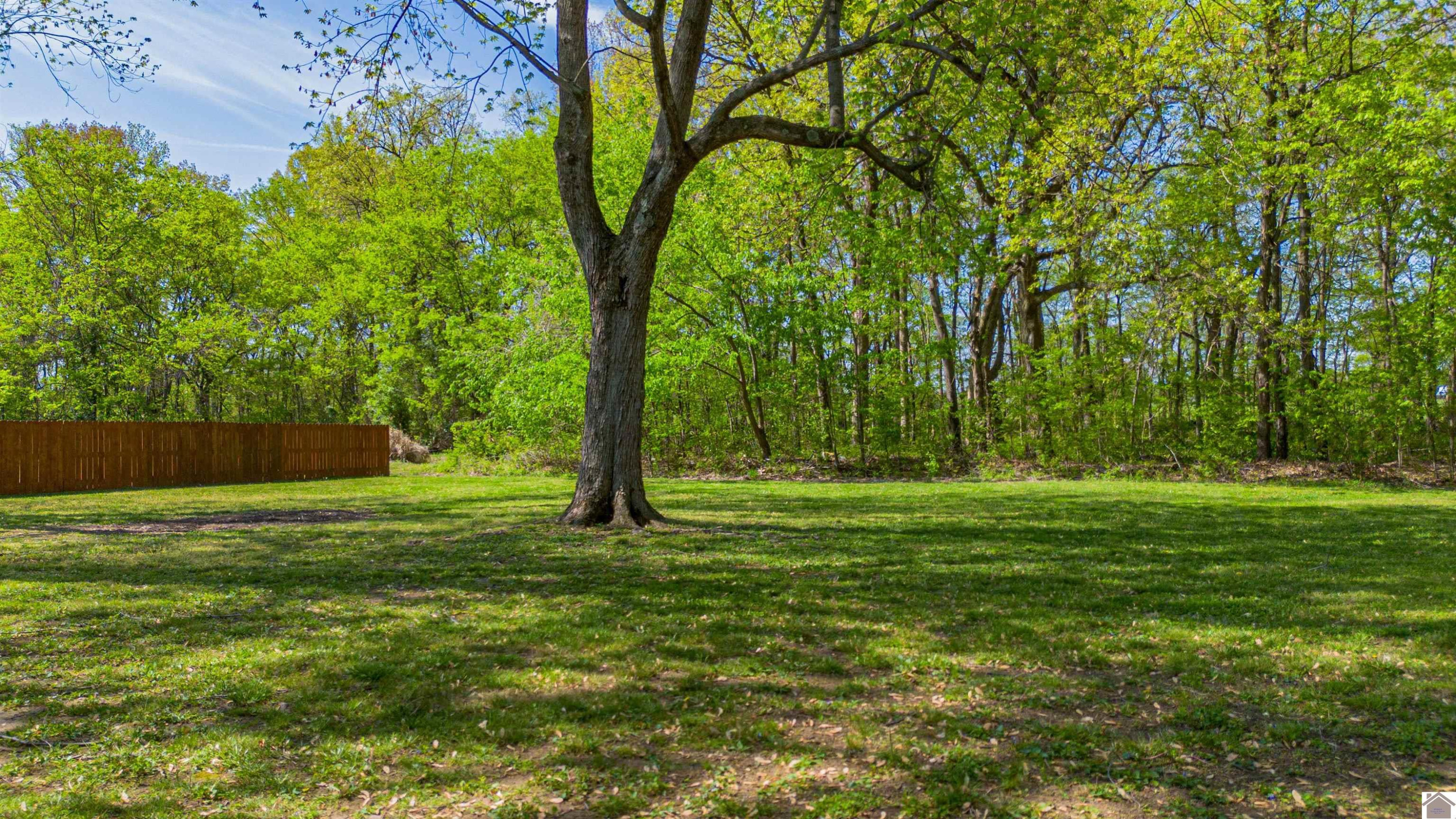 344 Scott Road Ledbetter, KY 42058 - Photo 25 of 28 Photo 25