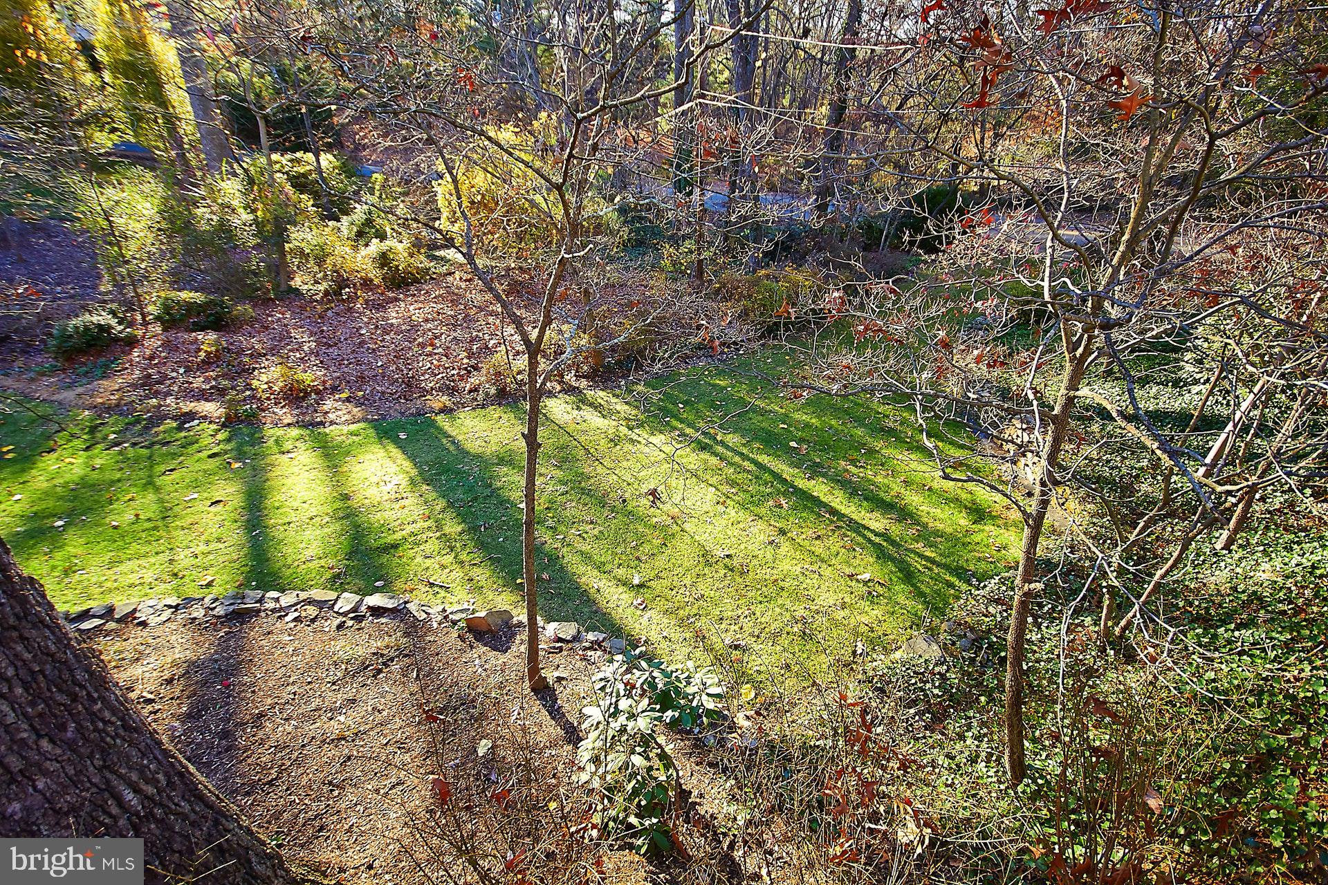 6817 Baron Road McLean, VA 22101 - Photo 60 of 63