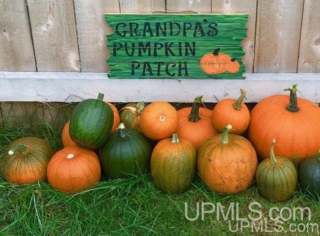 110 Daisy Street Ishpeming, MI 49849 - Photo 29 of 31 Gallery Image 29