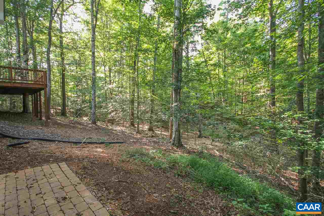 114 Riverside Drive Palmyra, VA 22963 - Photo 31 of 31 a view of a forest with trees in the background
