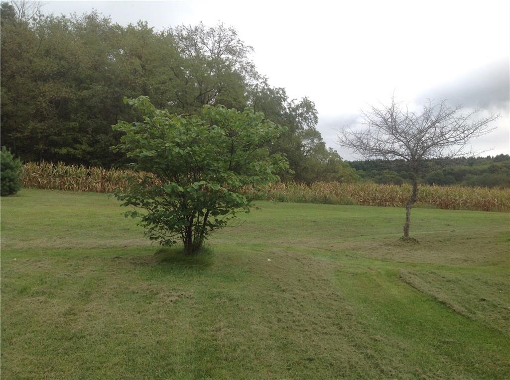 378 Windy Flats Road Shelocta, PA 15774 - Photo 14 of 21