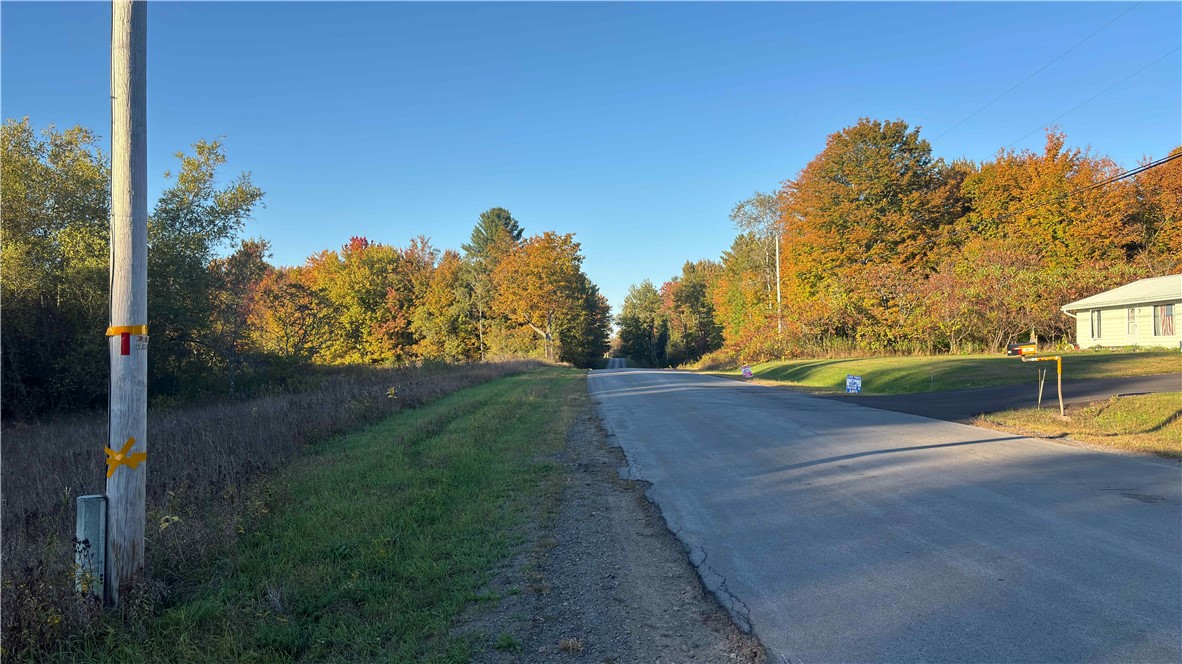 199 White Road Parish, NY 13131 - Photo 16 of 27