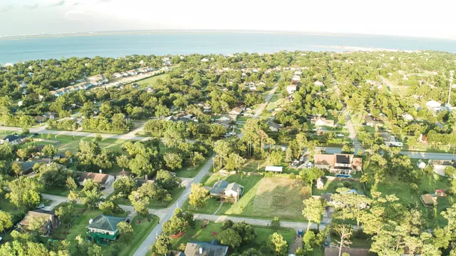 a view of a big yard with potted plants and large tree