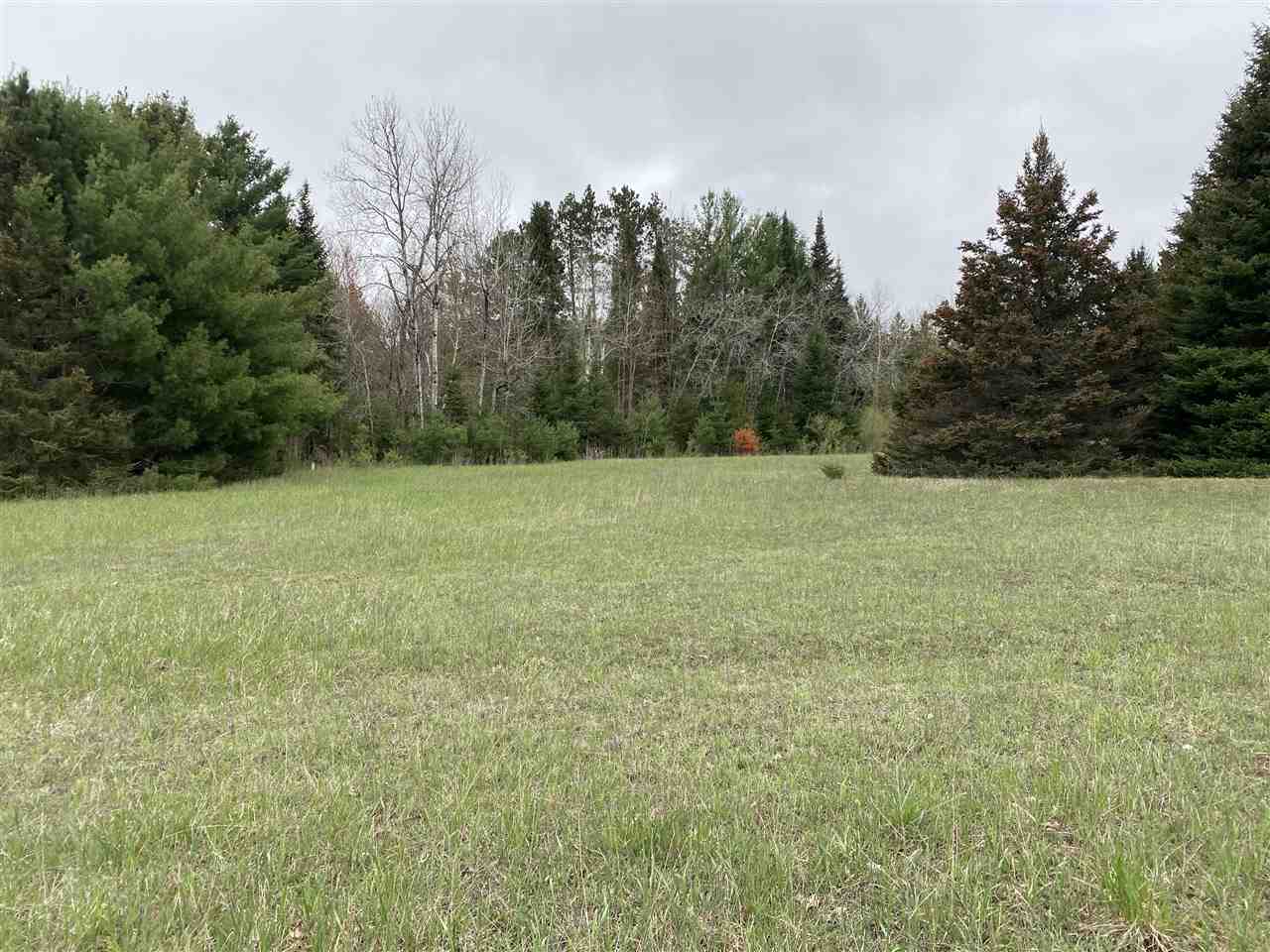 11199 South Cedar Road Cedar, MI 49621 - Photo 26 of 43 1890832-29.JPG
