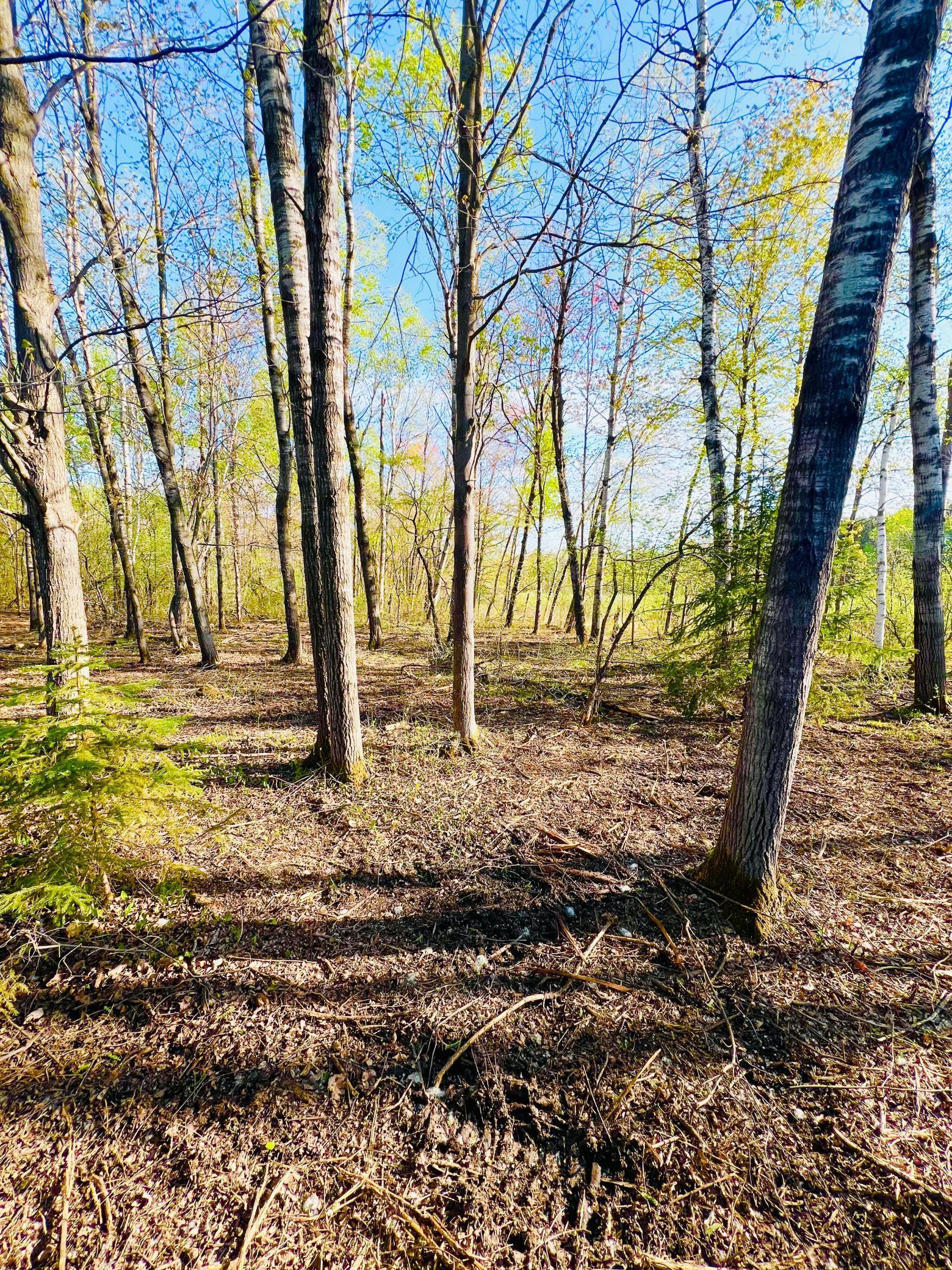 Tbd Mallard Place Sandstone, MN 55072 - Photo 1 of 18