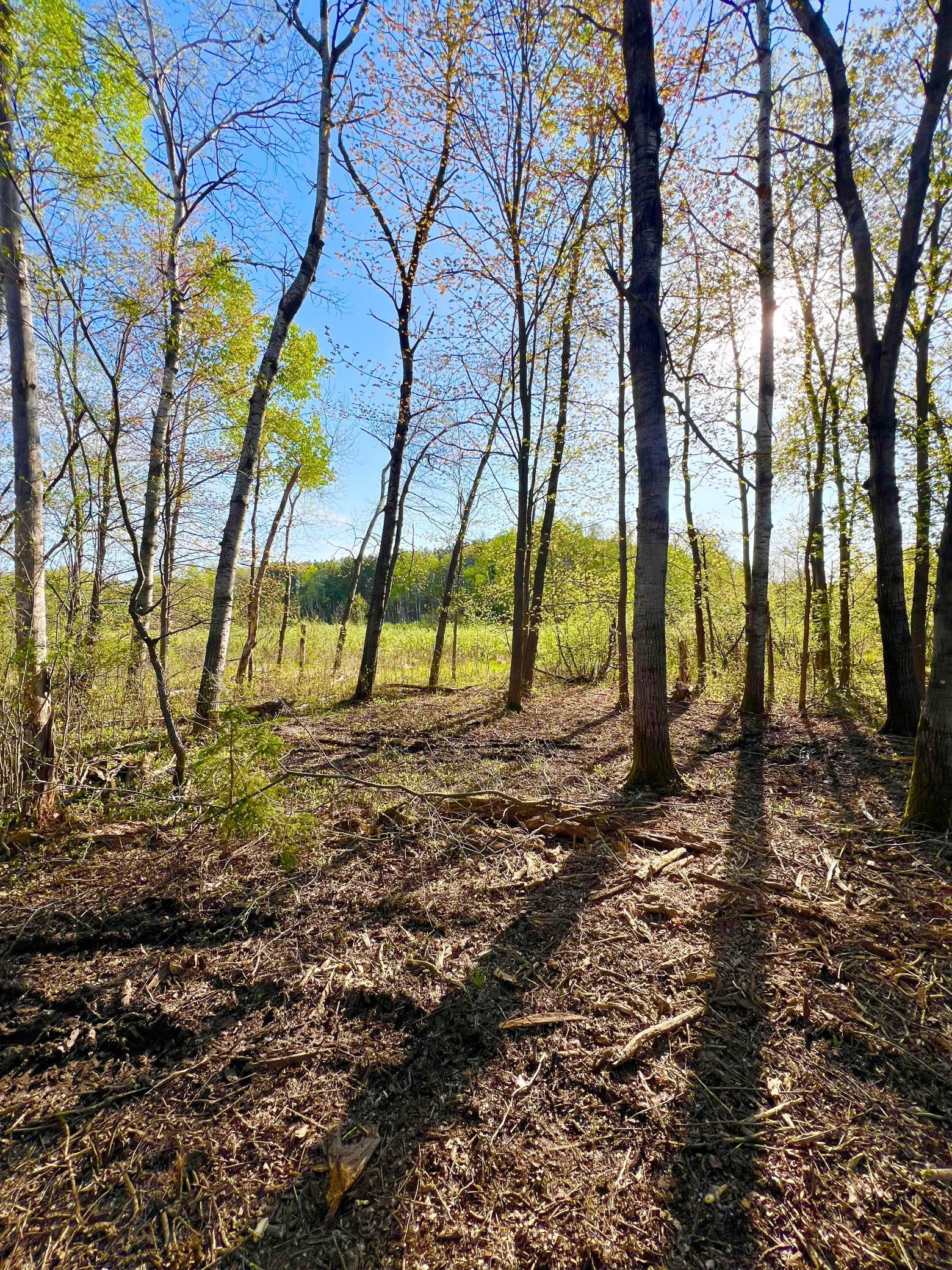 Tbd Mallard Place Sandstone, MN 55072 - Photo 2 of 18