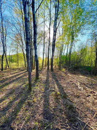 $28,000 | Tbd Mallard Place, Sandstone, MN 55072