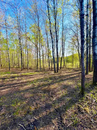 $28,000 | Tbd Mallard Place, Sandstone, MN 55072