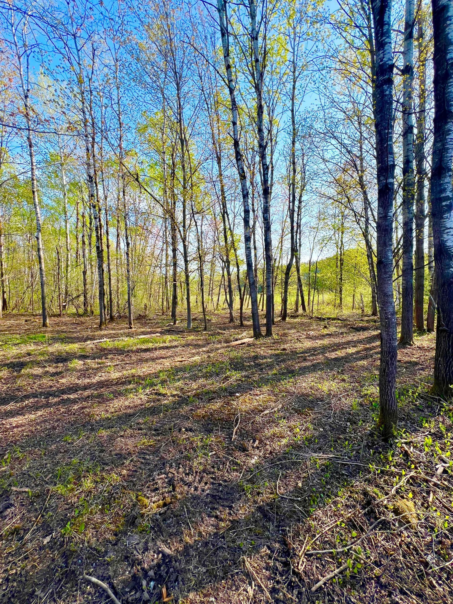 Tbd Mallard Place Sandstone, MN 55072 - Photo 4 of 18
