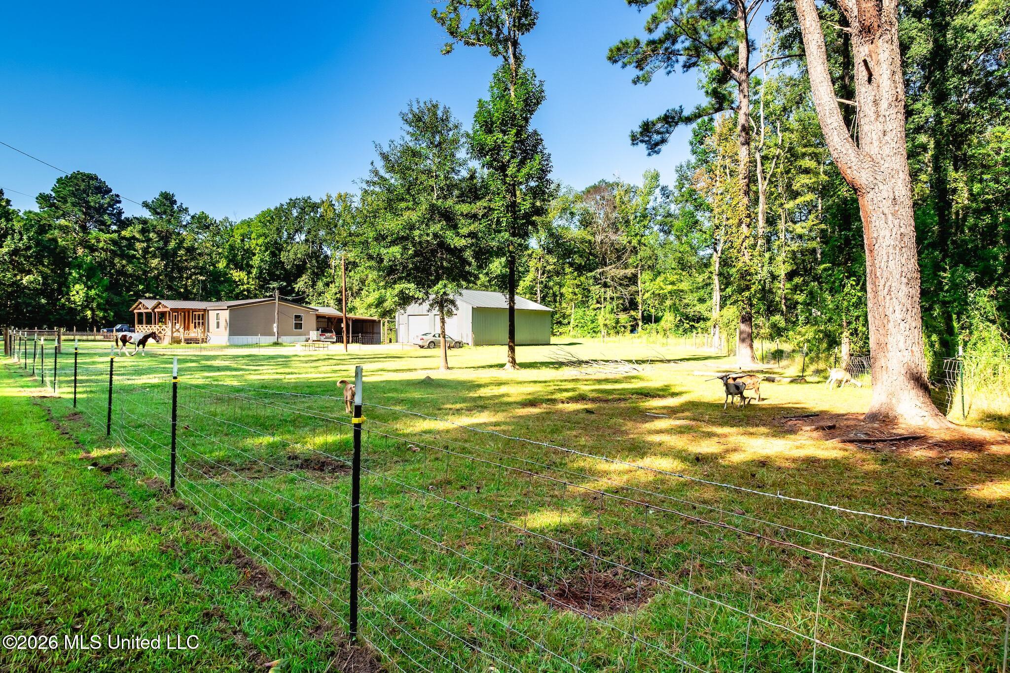 110 Hickory Ridge Cove Raymond, MS 39154 - Photo 4 of 28 P9090001