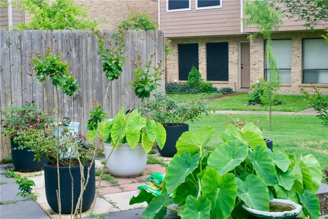a view of a house with potted plants and a table and chair