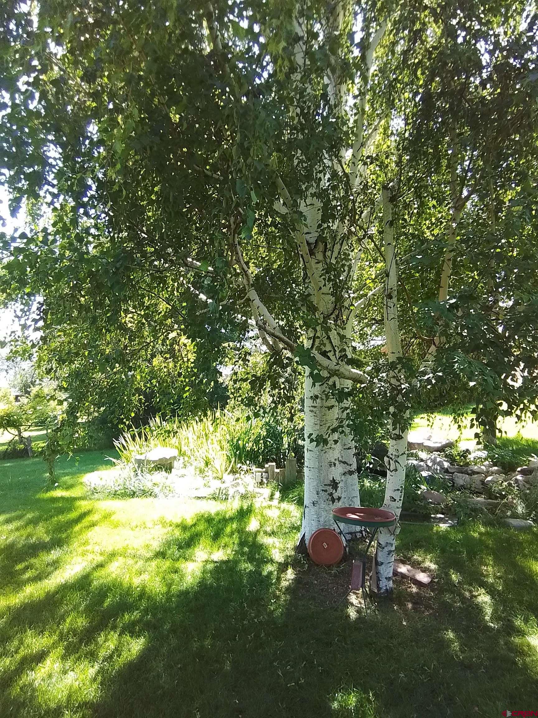 1812 Rampart Street Cortez, CO 81321 - Photo 8 of 32 Gallery Image 8