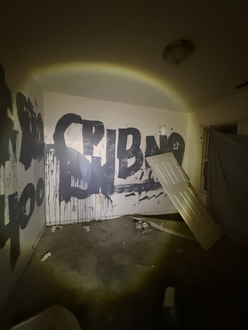 8417 South Escanaba Avenue Chicago, IL 60617 - Photo 18 of 22