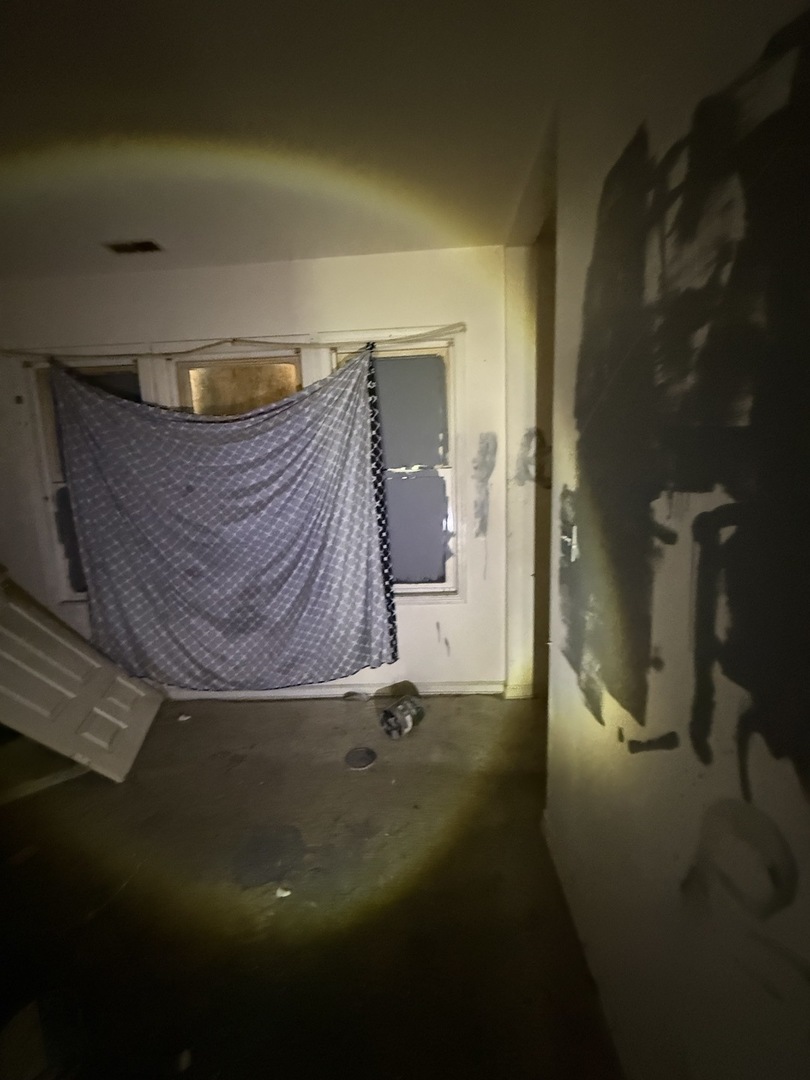 8417 South Escanaba Avenue Chicago, IL 60617 - Photo 19 of 22