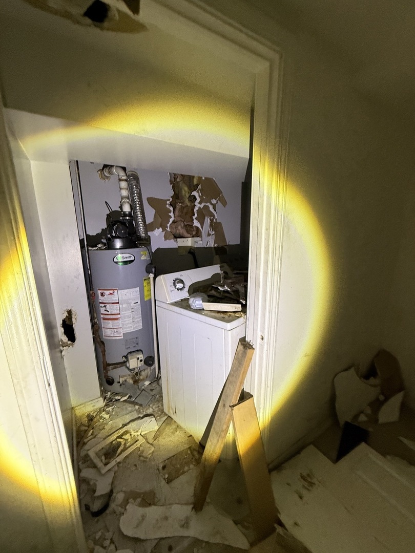 8417 South Escanaba Avenue Chicago, IL 60617 - Photo 7 of 22