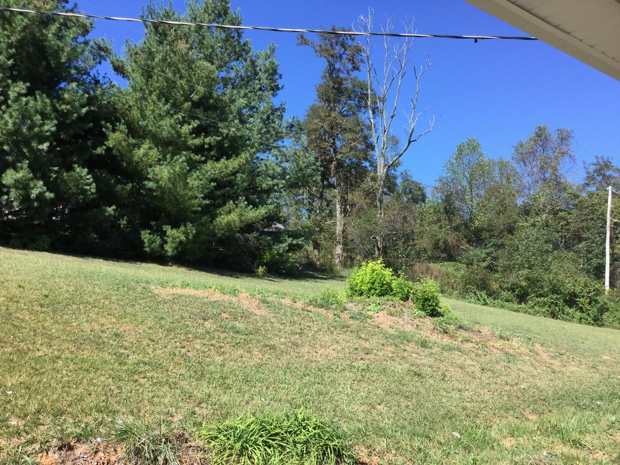 531 Coffey Road New Tazewell, TN 37825 - Photo 19 of 22 image