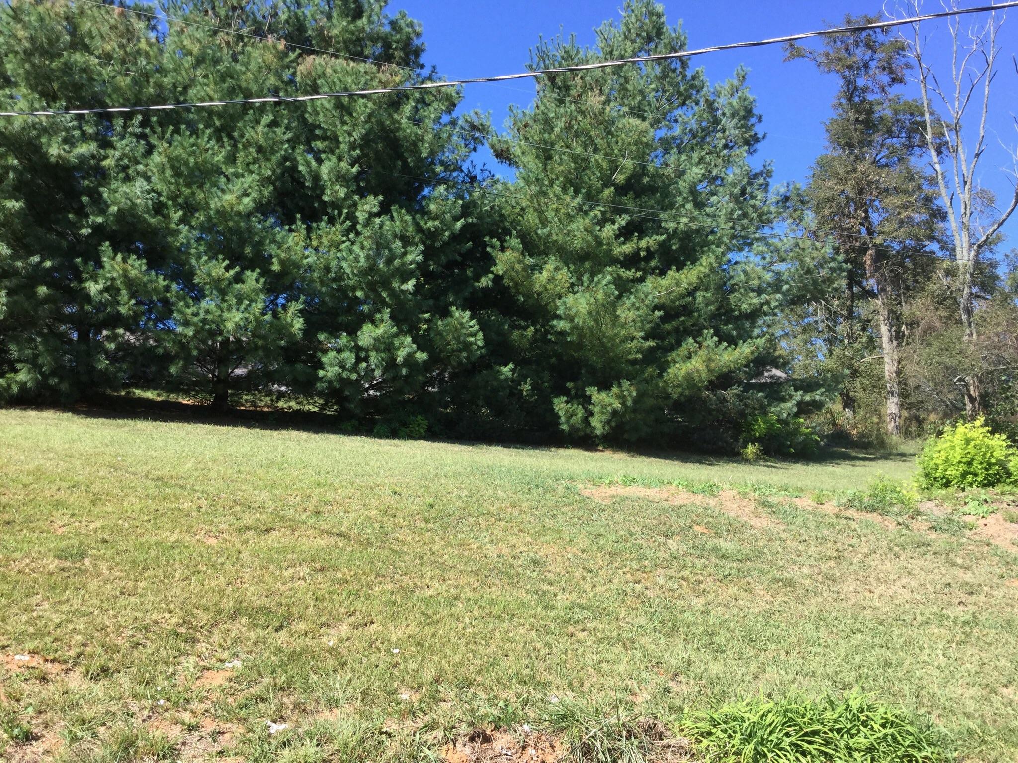 531 Coffey Road New Tazewell, TN 37825 - Photo 20 of 22 image