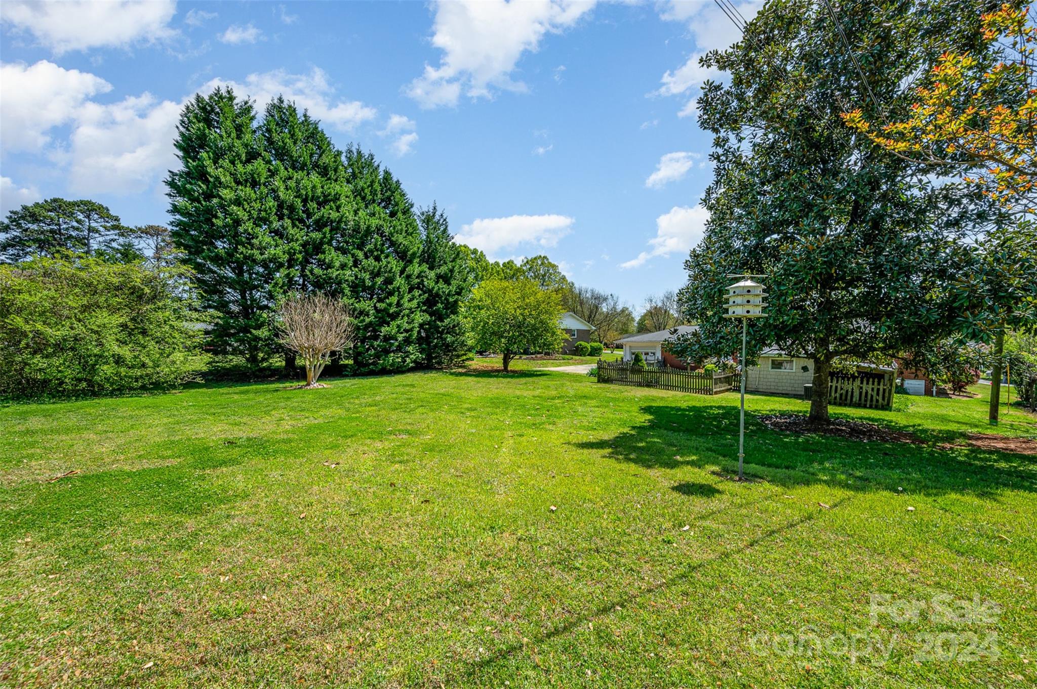 3409 Oak Tree Trail Matthews, NC 28105 - Photo 24 of 26 a view of yard with grass & palm trees