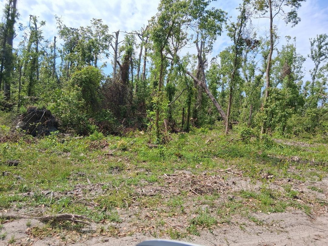 0 East Paige Street Perry, FL 32348 - Photo 1 of 6