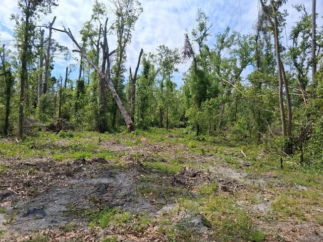 $50,000 | 0 East Paige Street, Perry, FL 32348