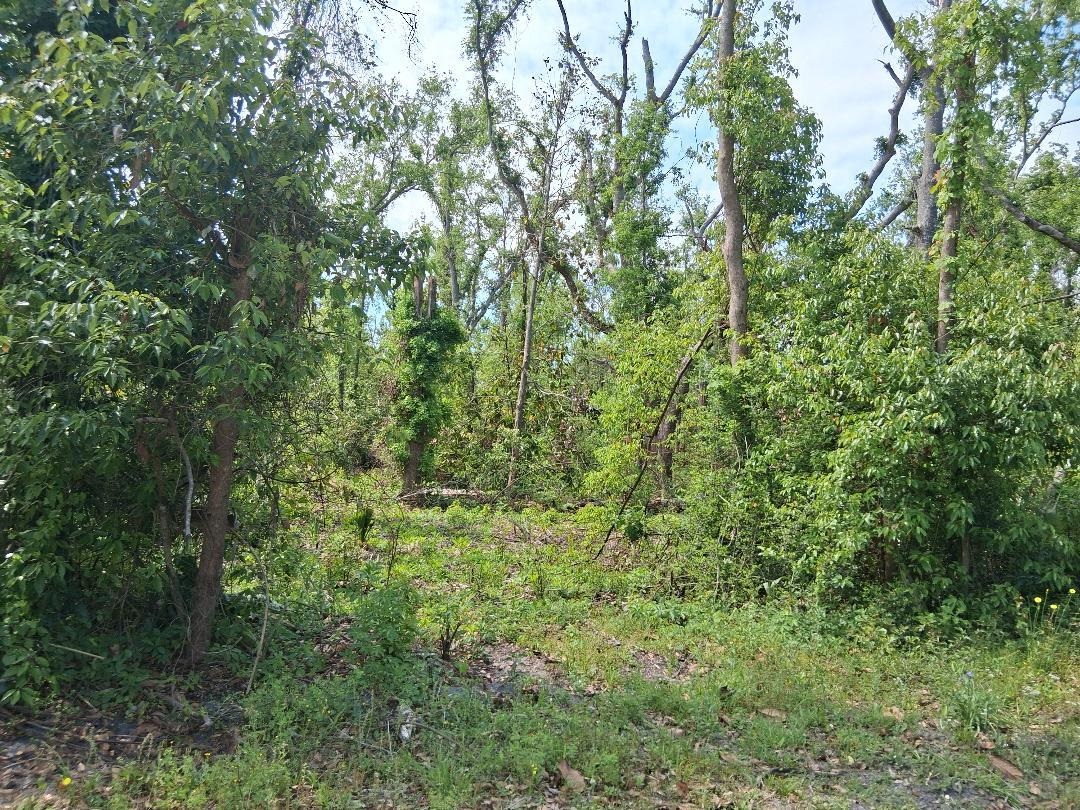 0 East Paige Street Perry, FL 32348 - Photo 3 of 6