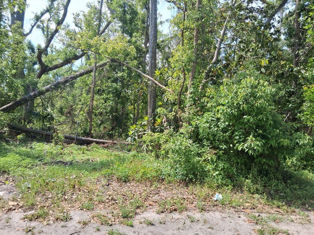 0 East Paige Street Perry, FL 32348 - Photo 4 of 6