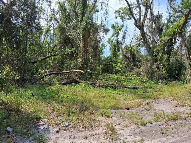 $50,000 | 0 East Paige Street, Perry, FL 32348