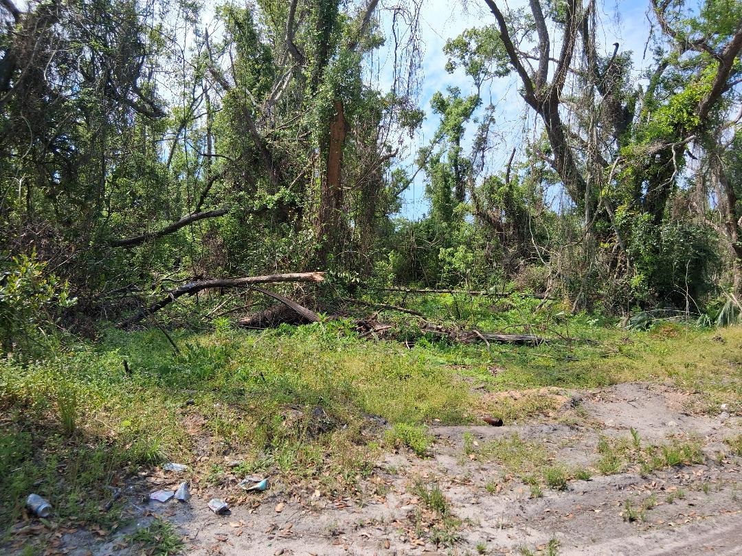 0 East Paige Street Perry, FL 32348 - Photo 5 of 6