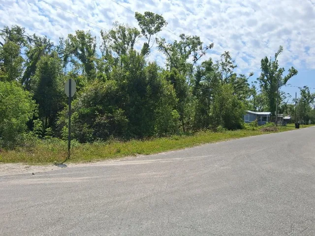 $50,000 | 0 East Paige Street, Perry, FL 32348