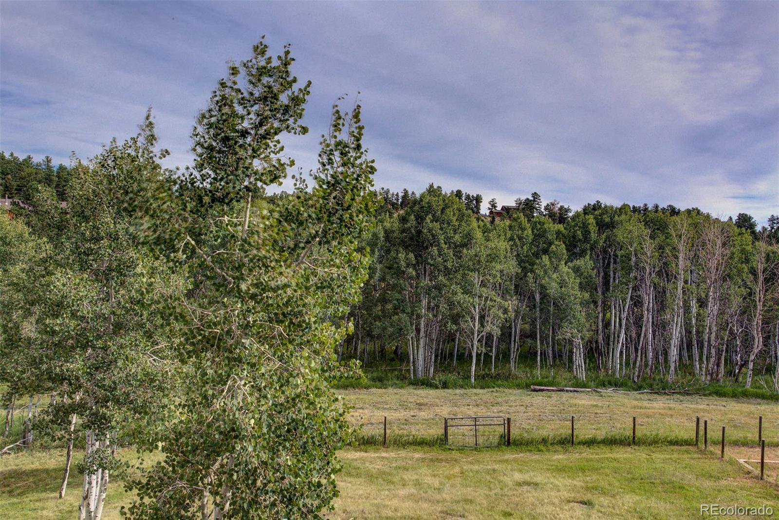 415 Bluebird Lane Bailey, CO 80421 - Photo 25 of 28 Gallery Image 25