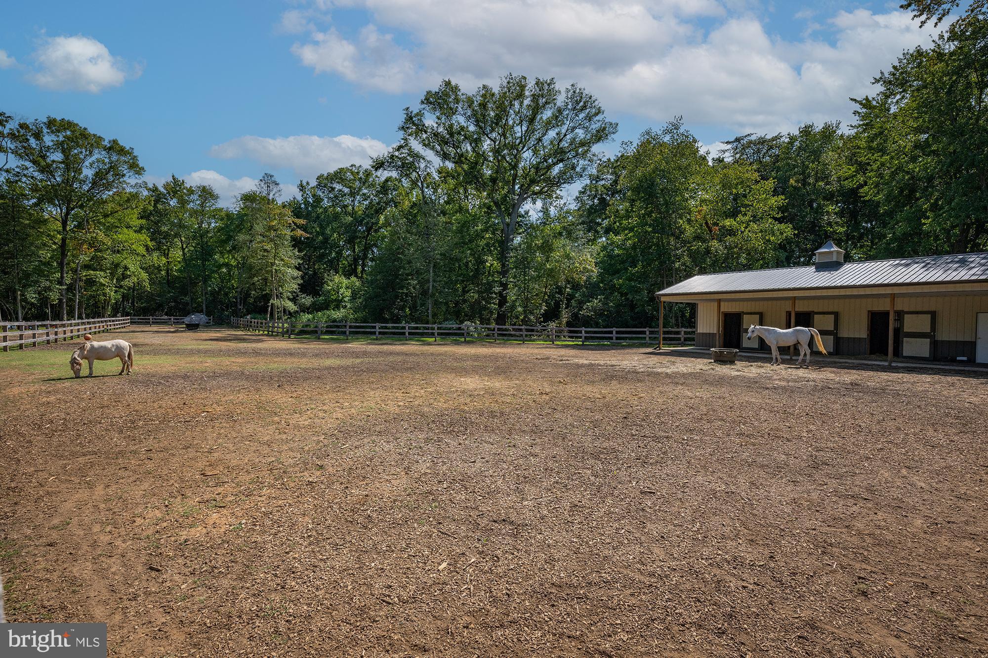171 Waldo Road Pasadena, MD 21122 - Photo 43 of 54 Gallery Image 43