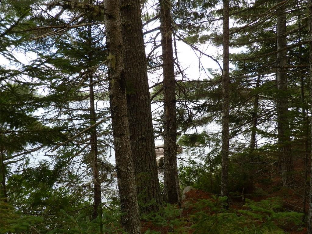 128 North Burwash Road Wesley, ME 04686 - Photo 1 of 9 Primary Photo