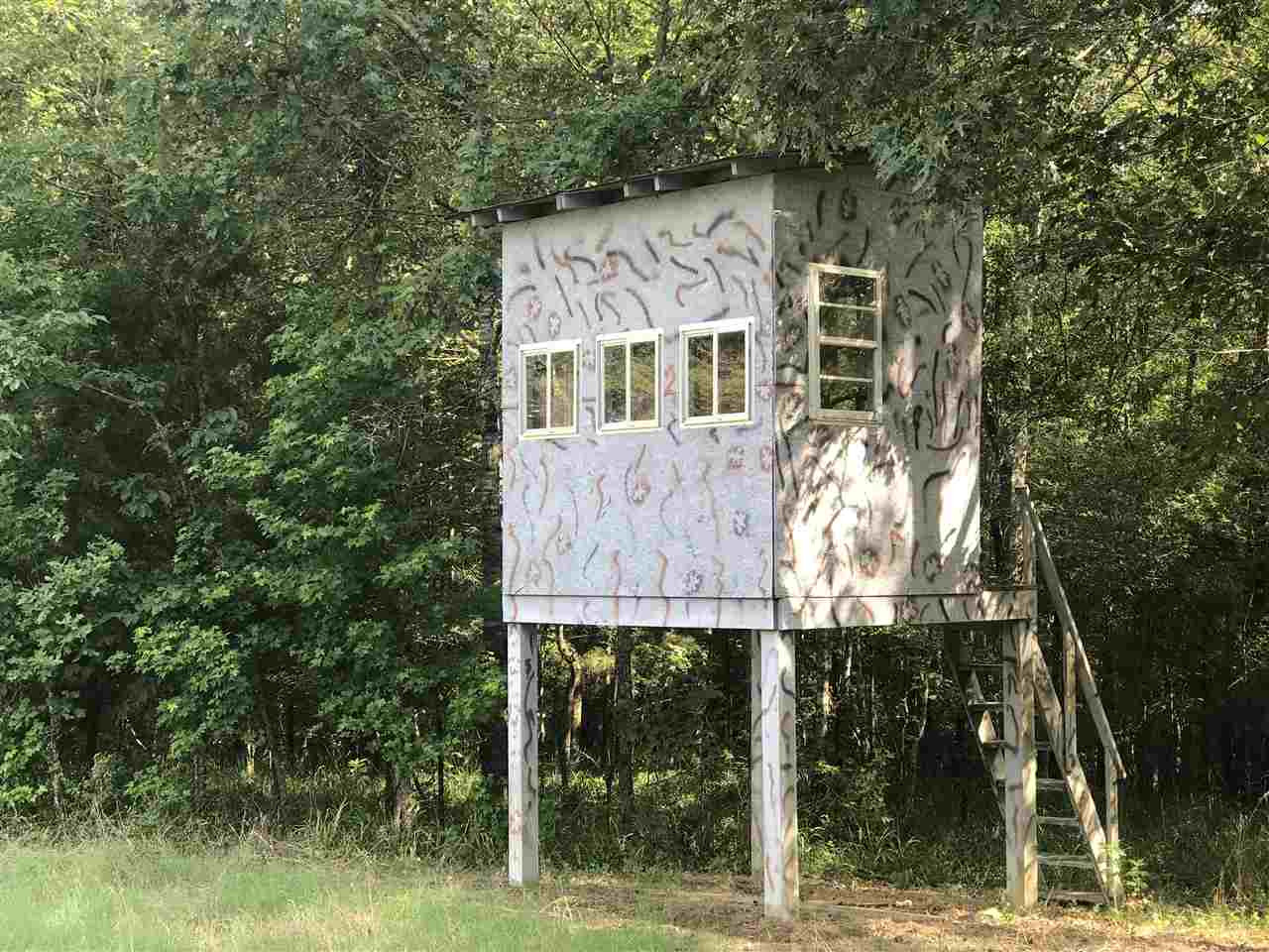 6542 Emory Road Durant, MS 39063 - Photo 15 of 31 Photo 15
