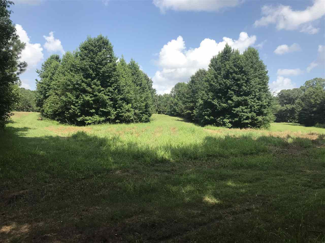 6542 Emory Road Durant, MS 39063 - Photo 8 of 31 Photo 8
