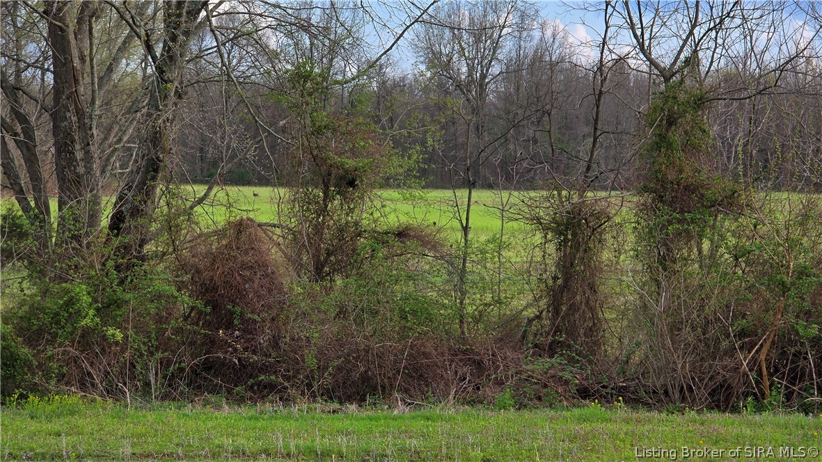 North Blanton Road Scottsburg, IN 47170 - Photo 19 of 49