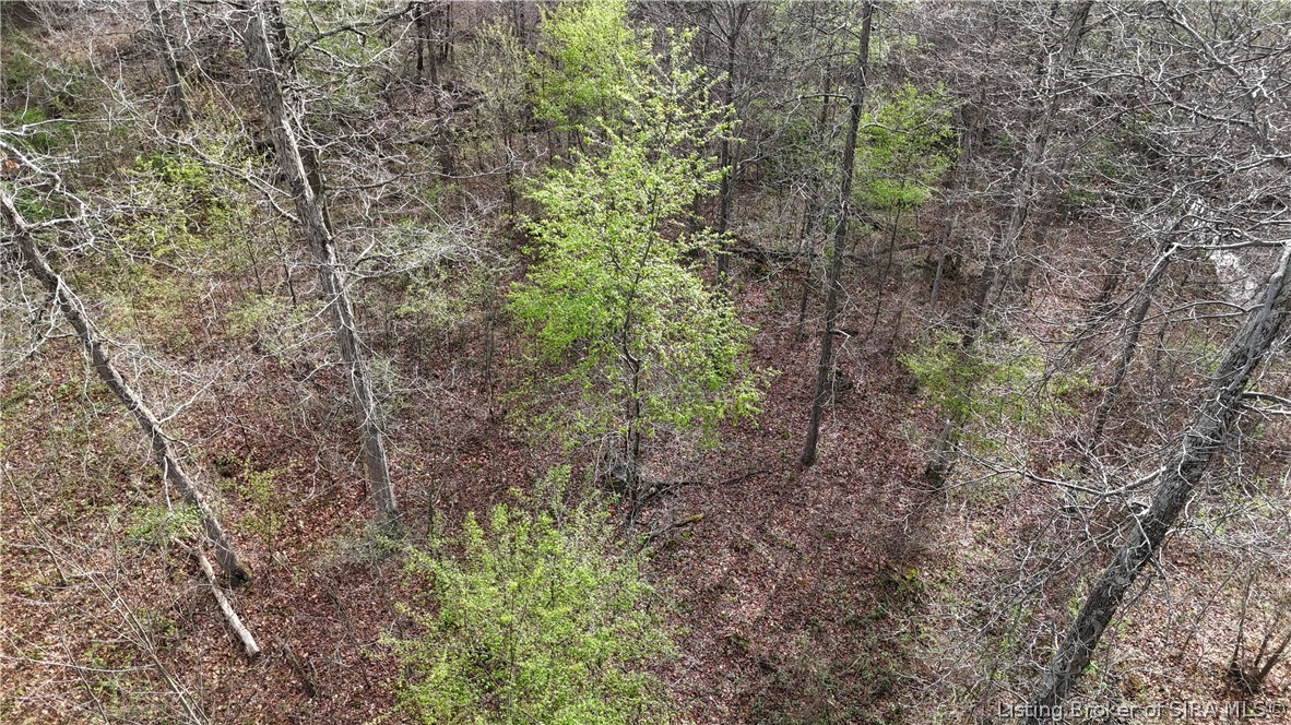 North Blanton Road Scottsburg, IN 47170 - Photo 44 of 49