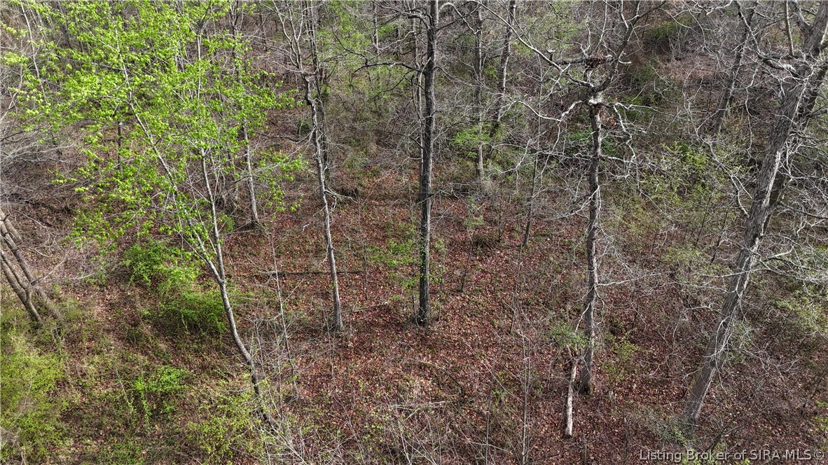 North Blanton Road Scottsburg, IN 47170 - Photo 45 of 49