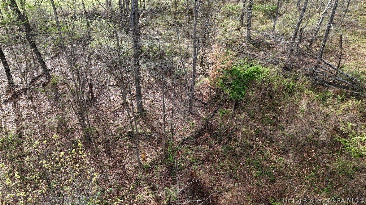 North Blanton Road Scottsburg, IN 47170 - Photo 46 of 49