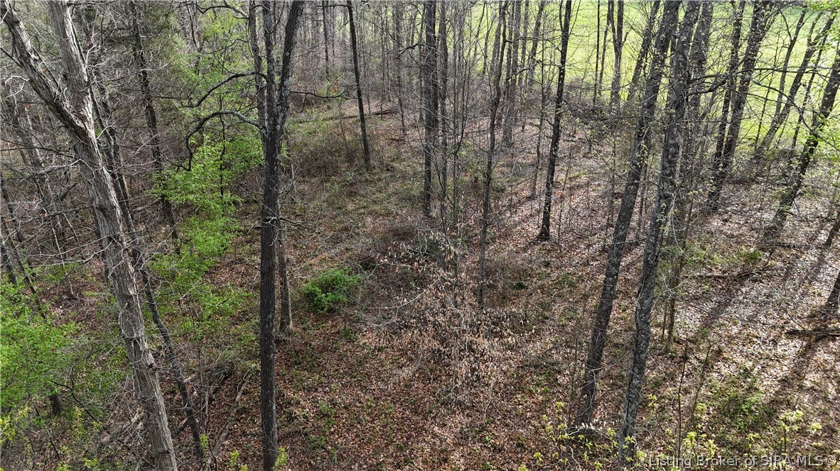 North Blanton Road Scottsburg, IN 47170 - Photo 47 of 49