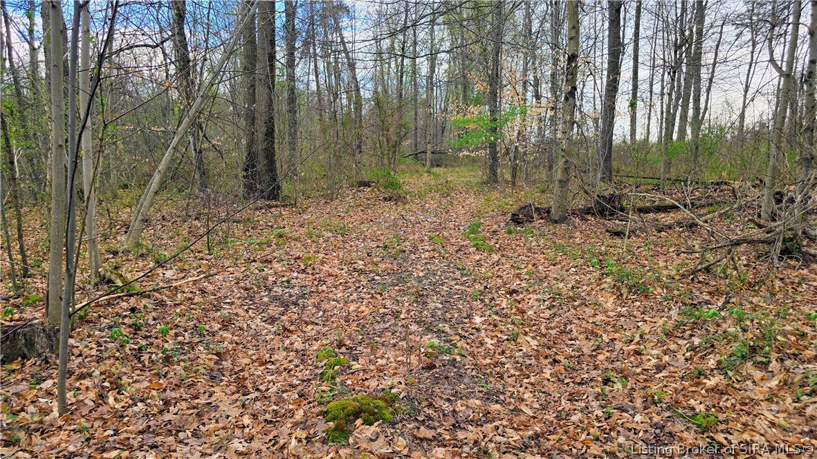 North Blanton Road Scottsburg, IN 47170 - Photo 6 of 49