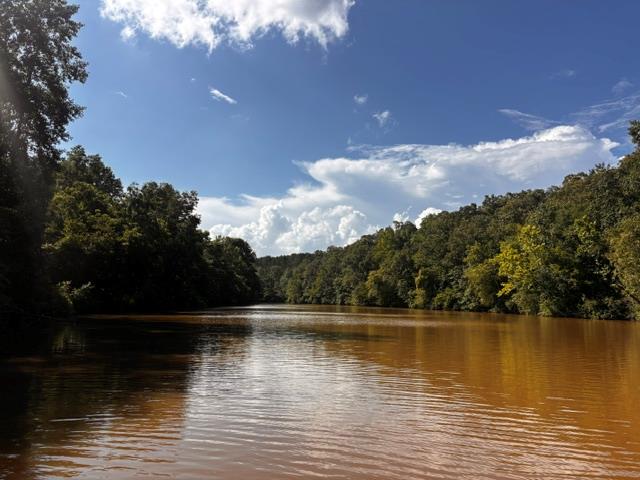 631 Lee Road 0889 Salem, AL 36874 - Photo 1 of 13 a view of lake