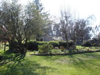 5815 Blank Road Sebastopol, CA 95472 - Photo 9 of 10 a view of a garden