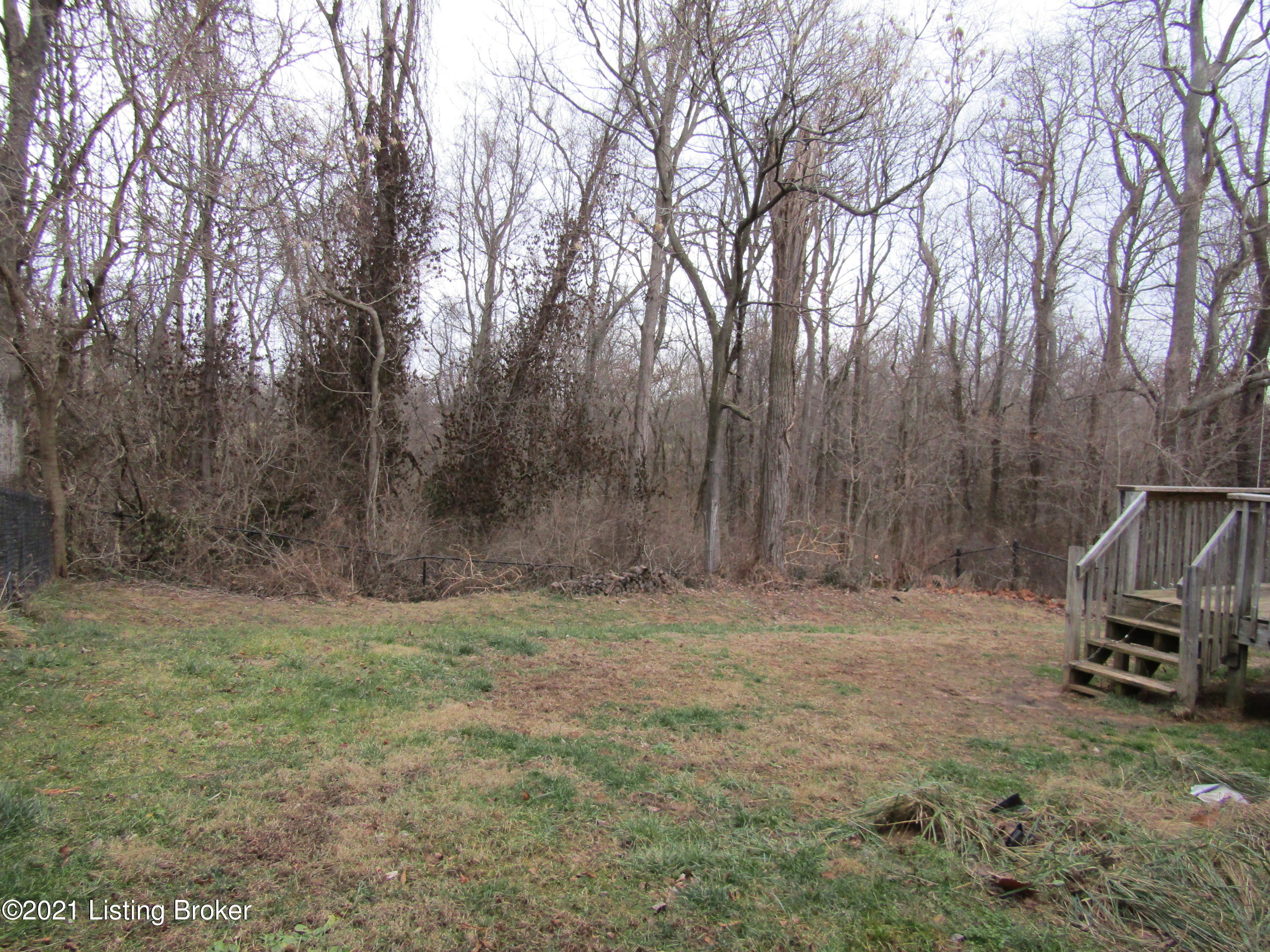 10003 Rimfire Road Louisville, KY 40291 - Photo 25 of 25 Backyard