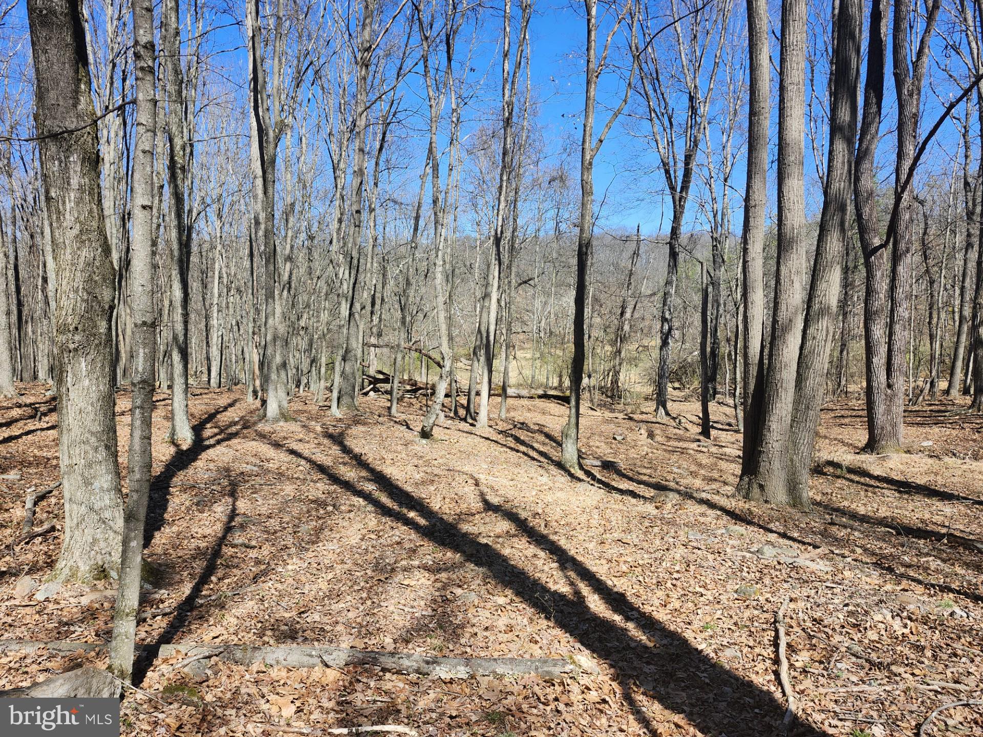 A J Kelley Road Old Fields, WV 26845 - Photo 39 of 65