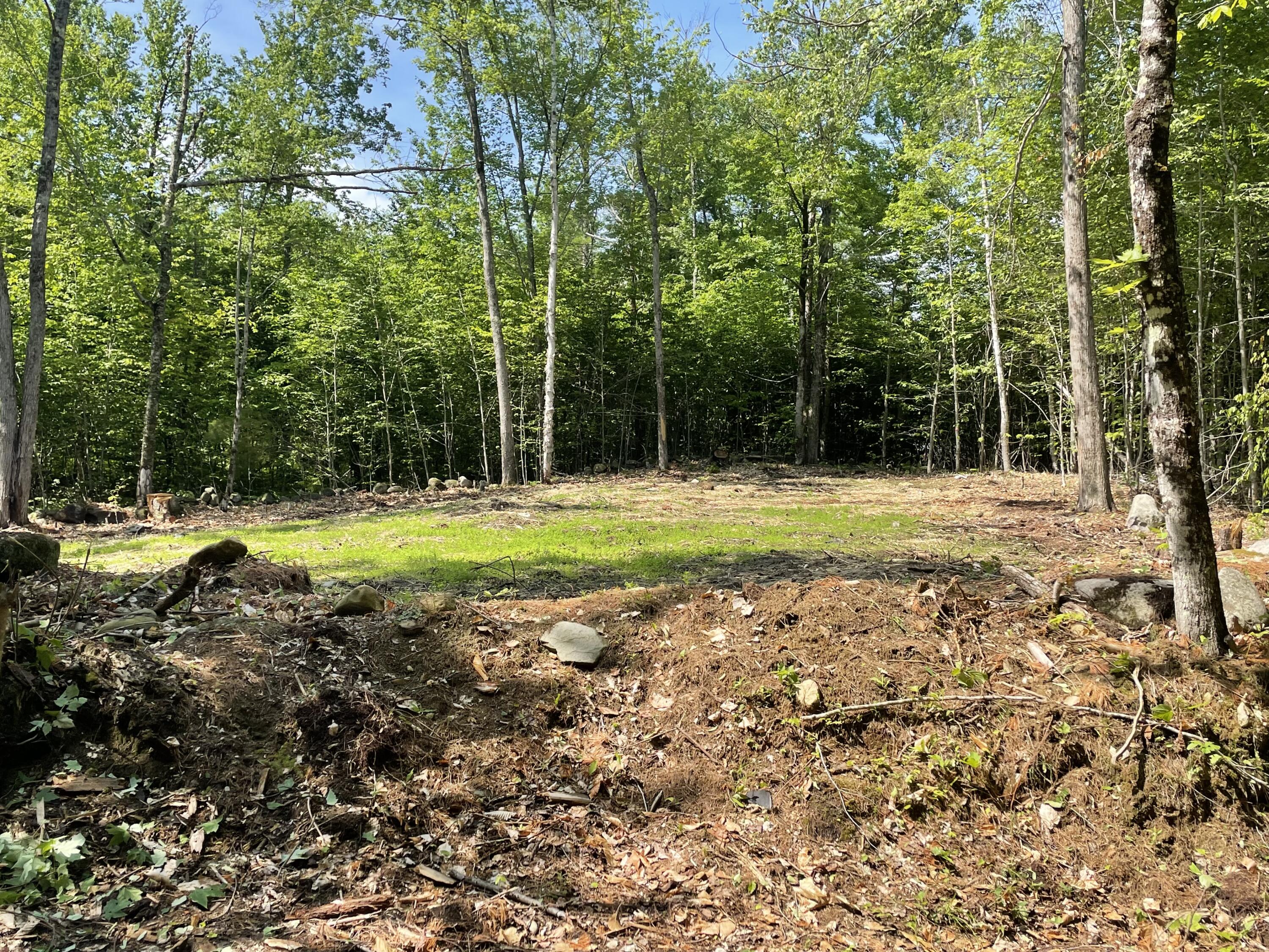 0 Homestead Hill Road Mercer, ME 04957 - Photo 10 of 13