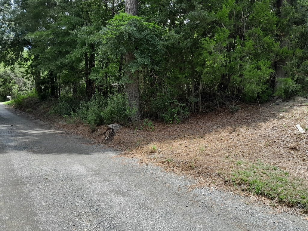 0 East Macs Landing Road, Unit TRACT C Pineville, SC 29468 - Photo 3 of 4 Photo 3