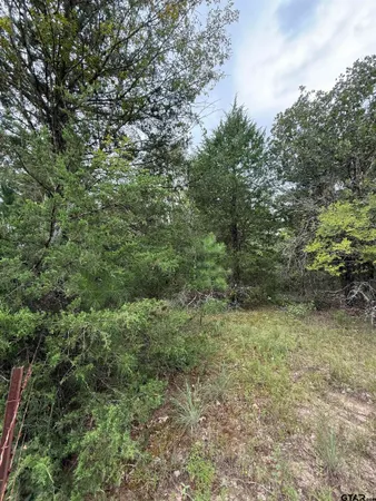 a view of a field with trees
