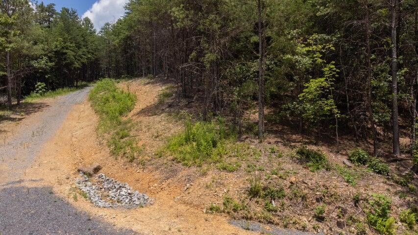 5 Owl Hollow Road Southwest McDonald, TN 37353 - Photo 8 of 32